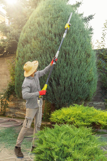 Best Residential Tree Removal  in Stockton, UT